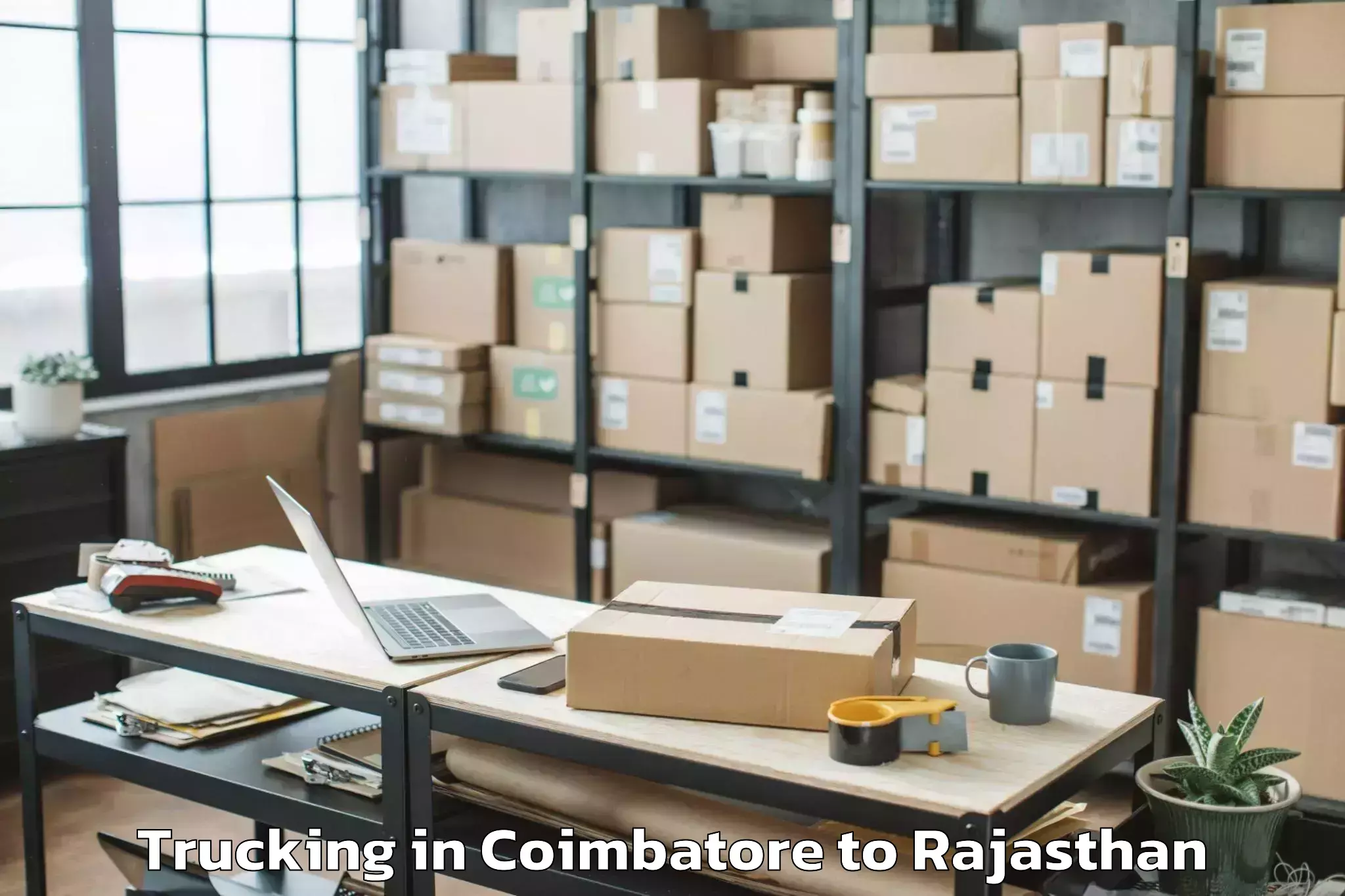 Hassle-Free Coimbatore to Madanganj Kishangarh Trucking